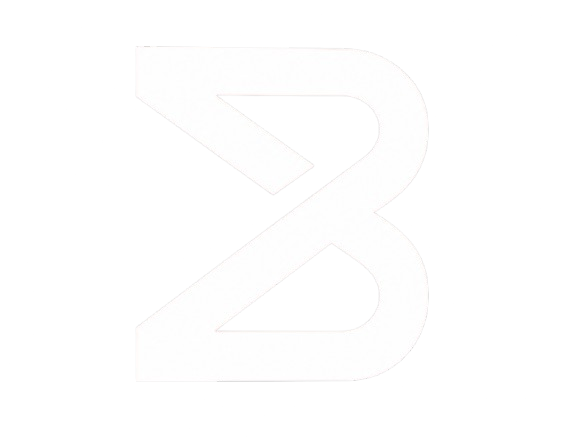 The Binary Holdings Logo